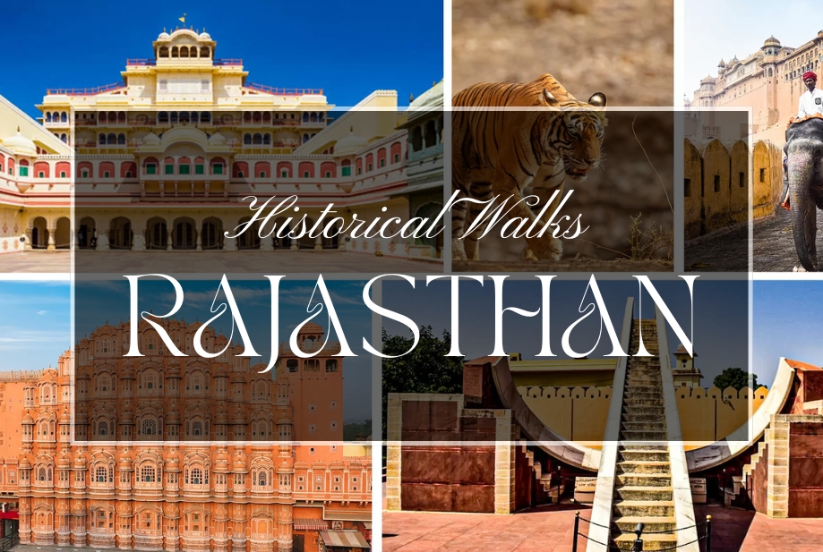 Jaipur full day tour