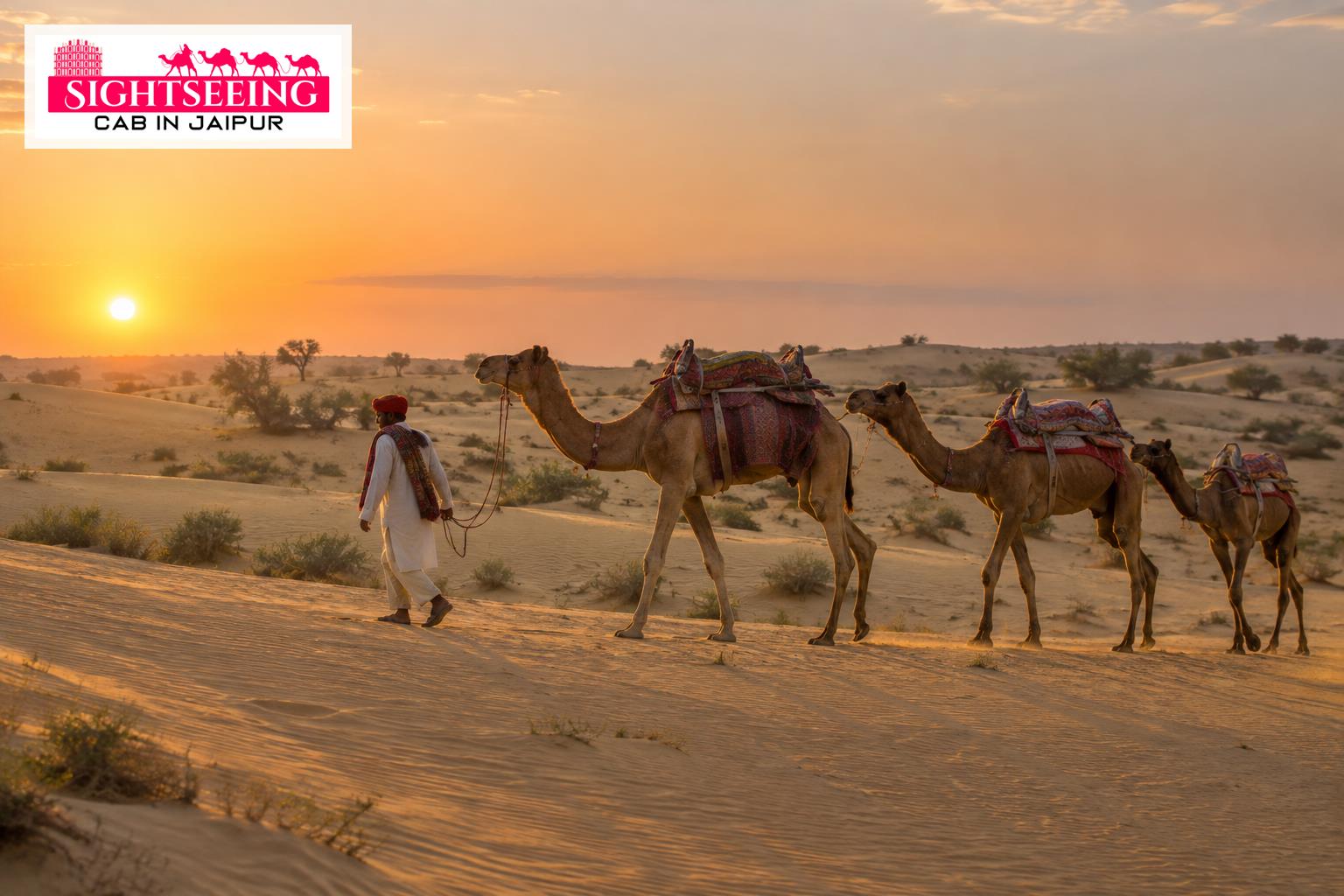 Camel caravan in the desert landscape near Bikaner