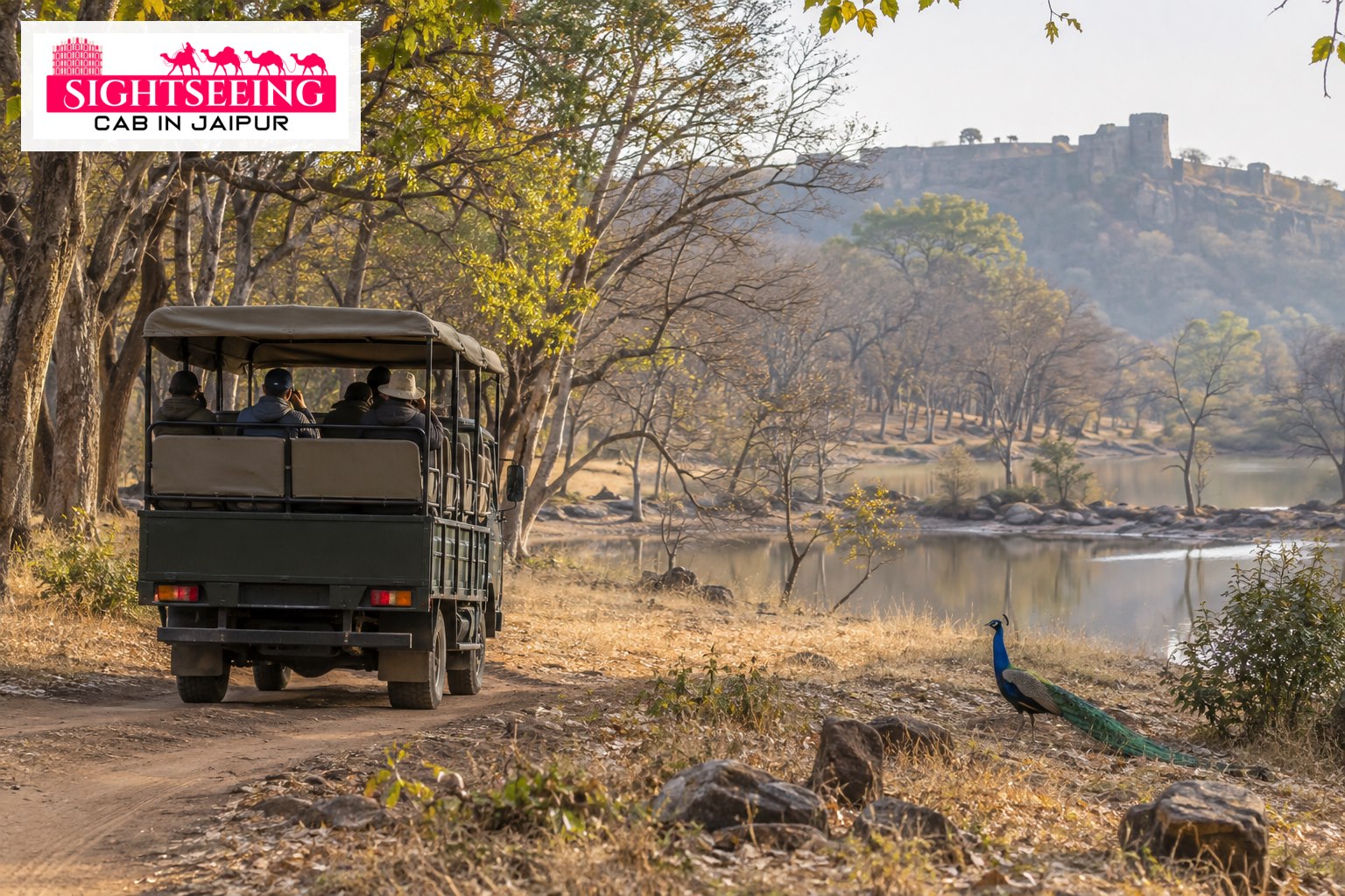Authorised canter safari in Ranthambore