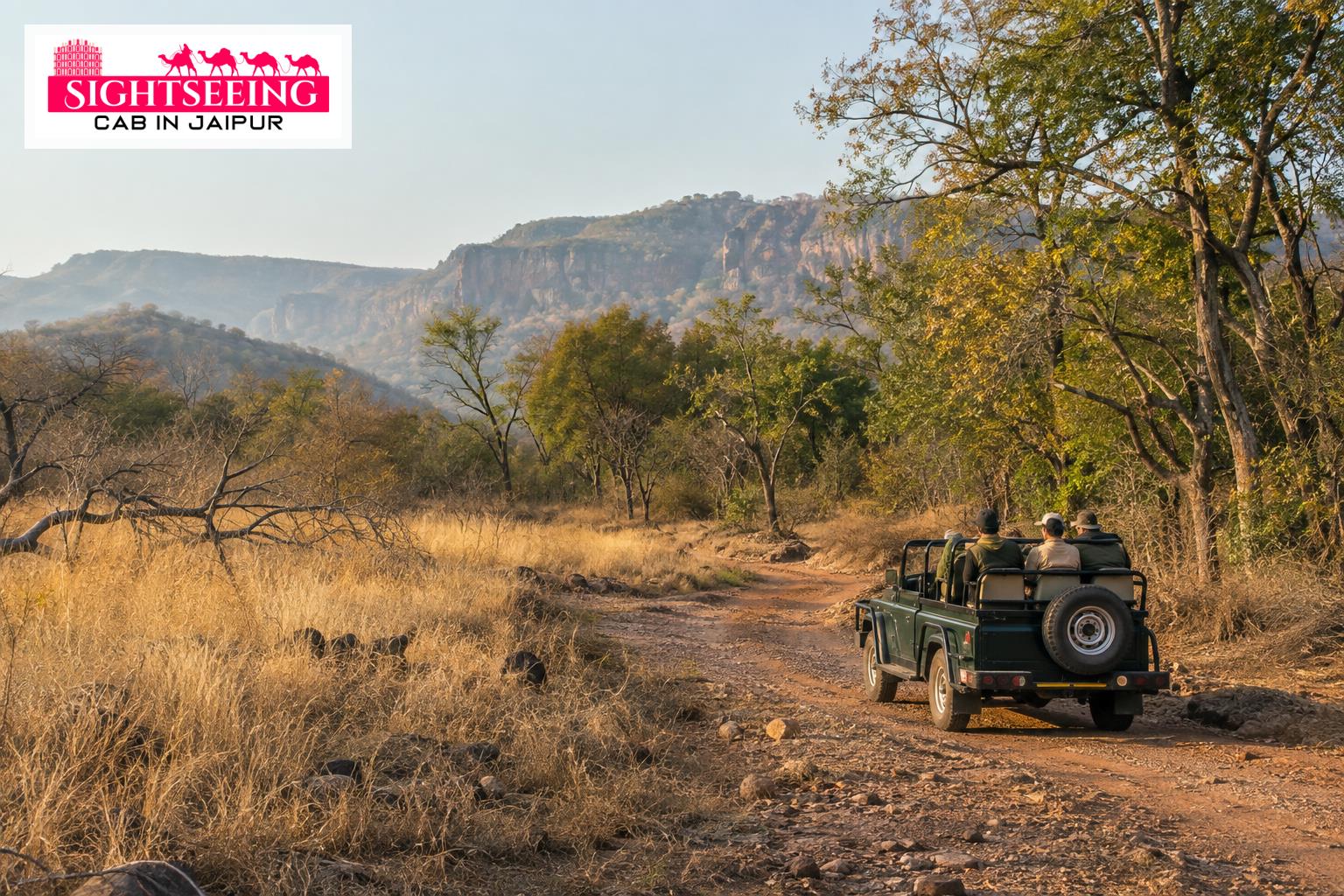 Open gypsy safari vehicle on a Ranthambore forest track