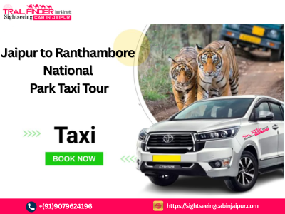 Jaipur full day tour