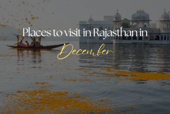 Jaipur full day tour