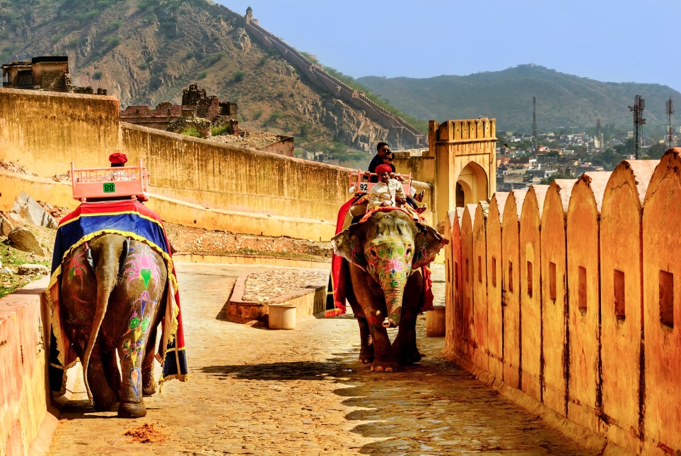 Jaipur full day tour