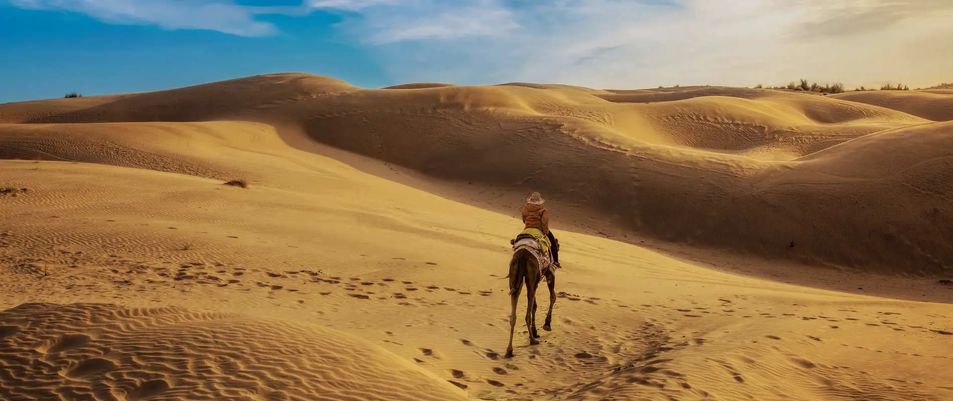 Jaipur Sightseeing Cab